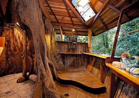 The best tree house hotels from around the world - hipages.com.au