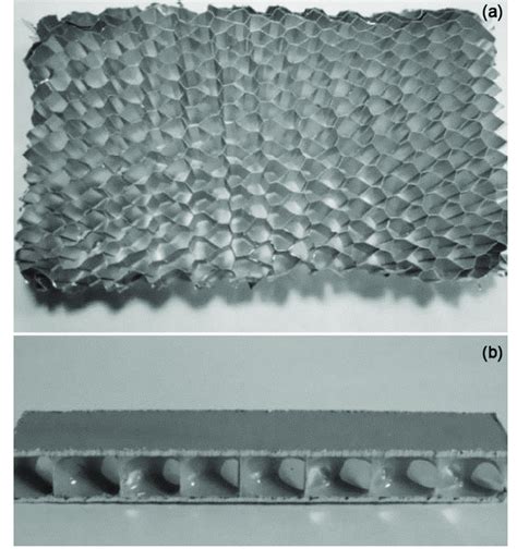 -(a) Aluminium honeycomb and (b) Aluminium honeycomb sandwich specimen... | Download Scientific ...