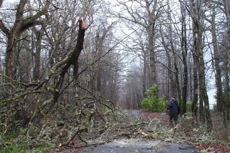 Storm Ophelia hits with force – Boyle Today | Your News, Your Town ...