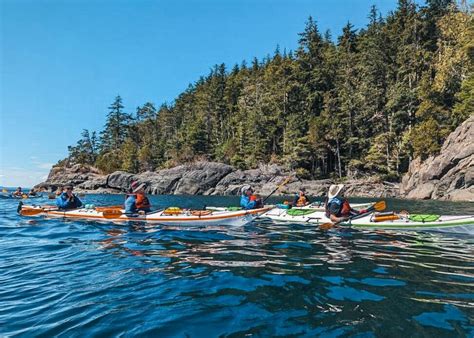 Telegraph Cove: Day Trip Kayaking Tour | Travel Buddies