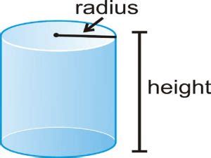 20 Cylinder Examples in Real Life – StudiousGuy