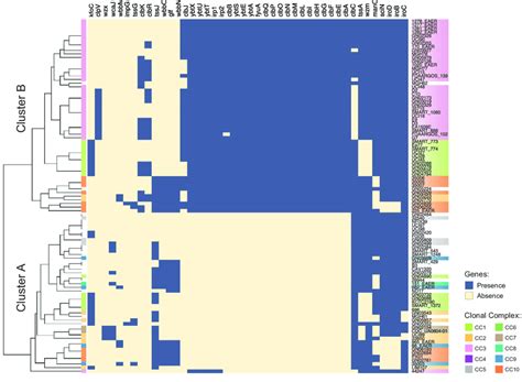 Prevalence of acquired virulence factors. Columns and rows represent ...