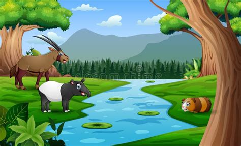 Wild Animals Cartoon Playing in the Meadow by the River Stock ...