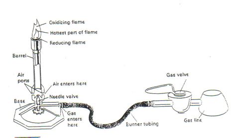 Label The Parts Of The Bunsen Burner