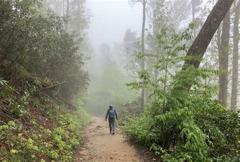 7 Great Smoky Mountains Hiking Trails to Explore - The GloveTrotters!