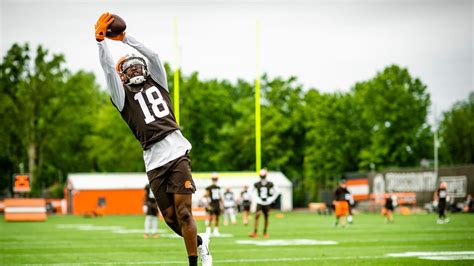 Browns Breakdowns: What David Bell brings at WR