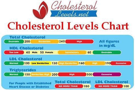 Cholesterol Levels Explained: HDL, LDL, Total, Triglycerides | Cholesterol levels, Hdl ...