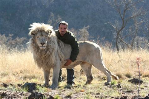 seorawat: Kevin-Richardson -The-Lion-Whisperer