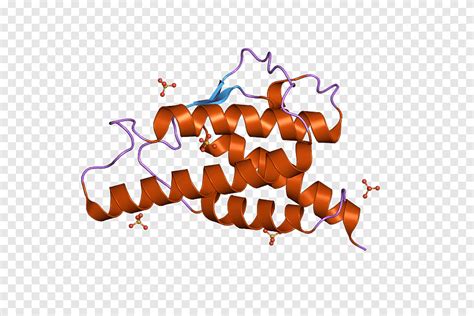 Interleuquina 9 estructura cristalina de interleucina 4, texto, estructura png | PNGEgg