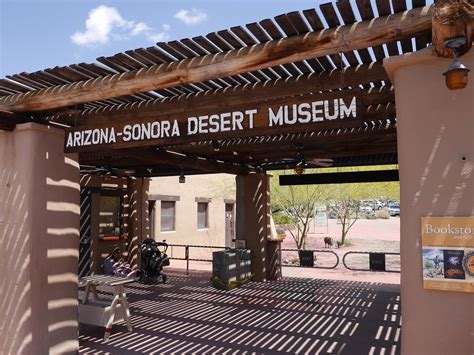 Arizona-Sonora Desert Museum | Mehr auf: usareisetipps.com/t… | Flickr