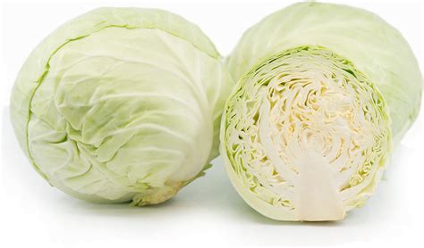 Organic Green Cabbage Information and Facts