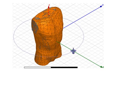 (a) Top-down view of the human body showing locations of internal ...