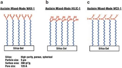 A Weak Cation-Exchange, Reversed-Phase Mixed-Mode HPLC Column and its Applications | American ...