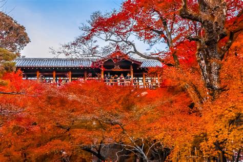 Seven temples and shrines in Kyoto| Alexis Jetsets | Cherry Blossoms season in Kyoto :: Alexis ...