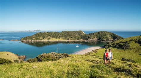 What To Do in Paihia | Top 10 Paihia Activities