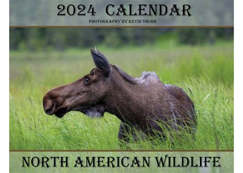 2024 North American Wildlife Calendar | Kevin Thurk Photography