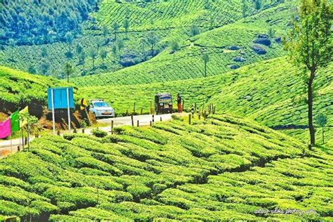 Meghamalai - High Wavy Mountains (Theni) - 2020 All You Need to Know ...