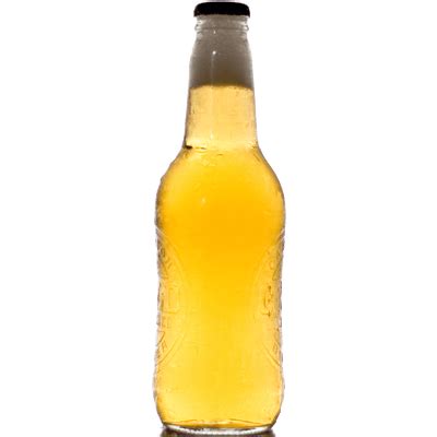 Beer Bottle transparent PNG - StickPNG