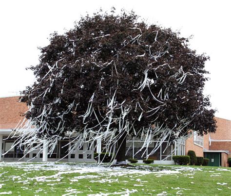 Clever prank at a high school