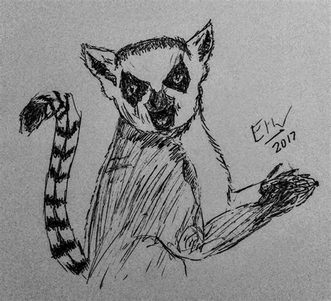 Lemur Sketch at PaintingValley.com | Explore collection of Lemur Sketch