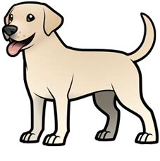 Dog Drawing Simple, Cute Dog Drawing, Cute Drawings, Perro Labrador Retriever, Labrador Art ...