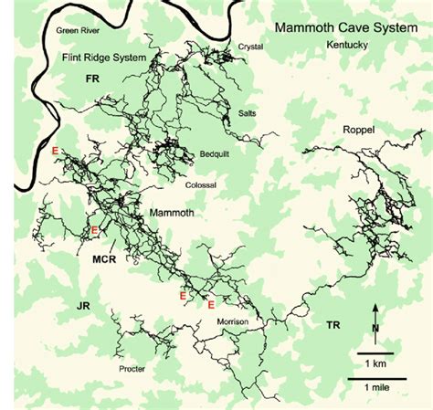 1 Map of the Mammoth Cave System and its relation to the Green River ...