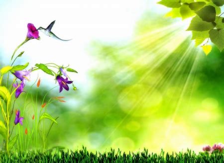 Bright Green Light - Flowers & Nature Background Wallpapers on Desktop Nexus (Image 1587831)