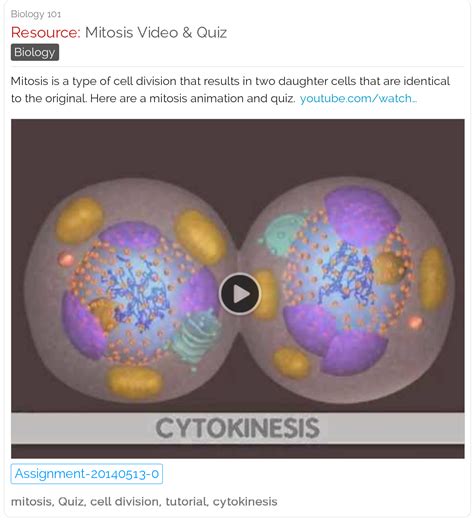 Mitosis Video & Quiz | Mitosis, Biology lessons, Cell biology