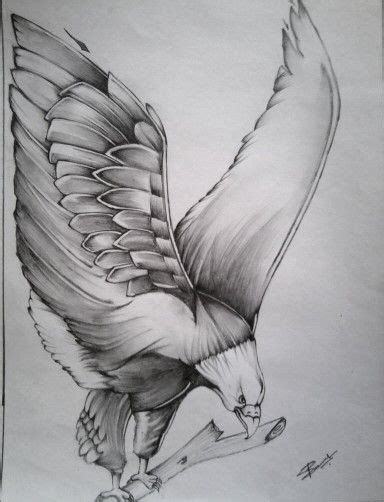 Eagle Drawings In Pencil