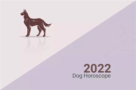 Chinese Dog Zodiac Horoscope - Fun & Furry Horoscope for Dogs