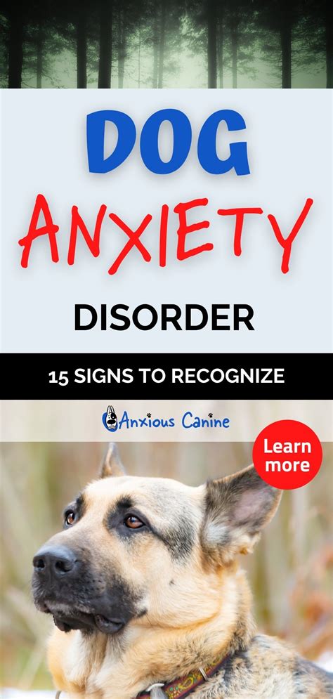 Dog Anxiety Disorder - 15 Signs to Recognize - AnxiousCanine.com