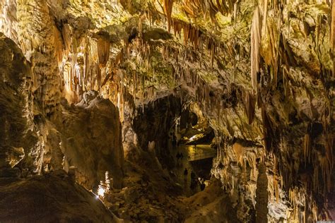 Postojnska Jama Cave - Slovenia - Blog about interesting places