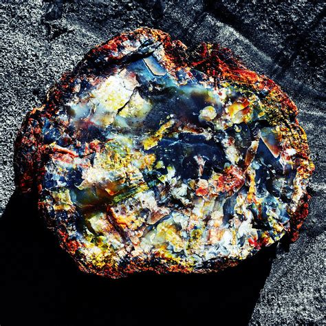 Petrified Wood Rainbow Cross Section Macro Petrified Forest National Park Square Vivid Color ...