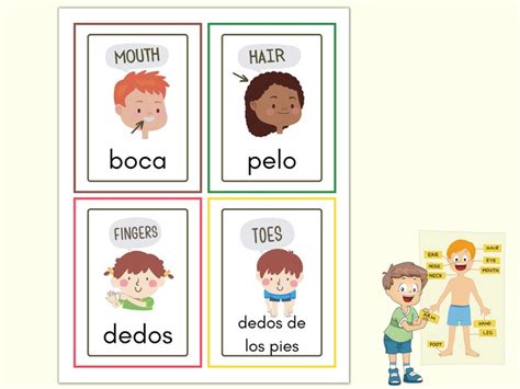 Spanish Body Parts Flashcards Printable 22 Spanish - Etsy