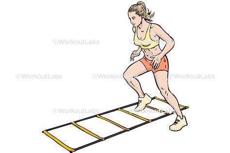 Agility Ladder Workout Routines | EOUA Blog