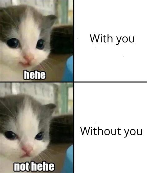 Can I "hehe" with you? | /r/wholesomememes | Hehe Cat | Know Your Meme