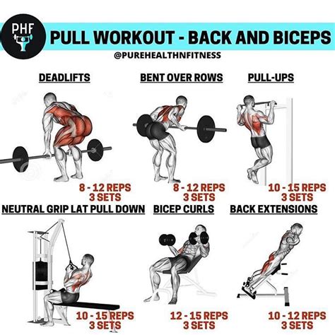 Back And Biceps: The Best Workout Combination - GymGuider.com | Back and bicep workout, Pull day ...