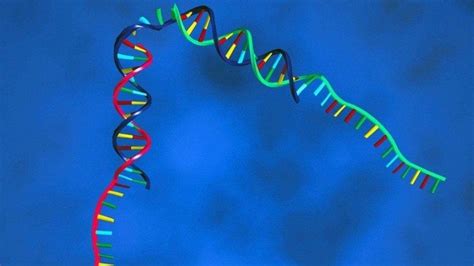 Microsoft: Synthetic DNA To Be Used For Data Storage