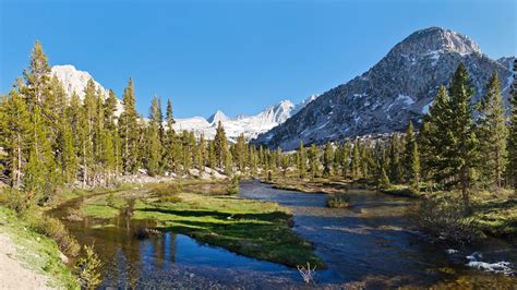 Kings Canyon National Park | Drive The Nation