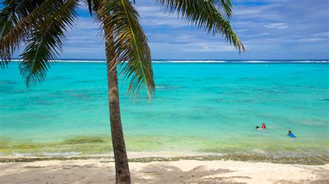 10 TOP Things to Do in Rarotonga May 2024 | Expedia