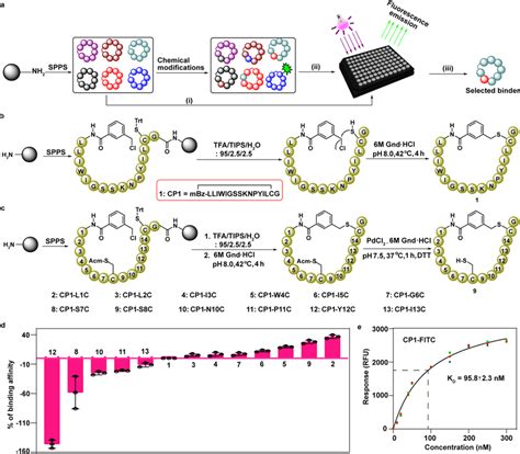 Chemical synthesis of cyclic peptide analogue of 1 and their affinity... | Download Scientific ...