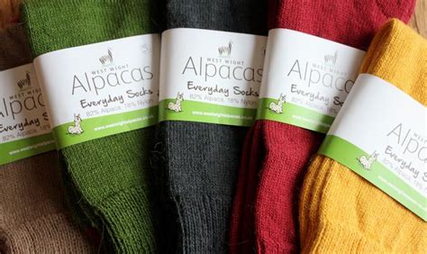 Everyday Socks - Etsy UK