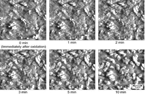 4: AFM images of behavior of lead sulphate crystals under open circuit... | Download Scientific ...