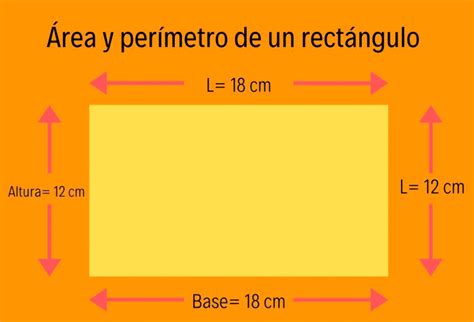 Como Saco El Perimetro De Un Rectangulo – DonComo ️