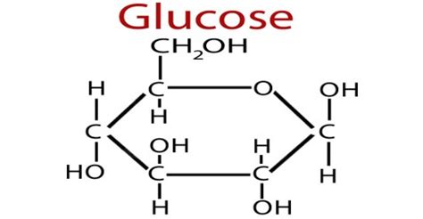 About Glucose - Assignment Point