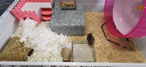 Homemade Hamster Bedding