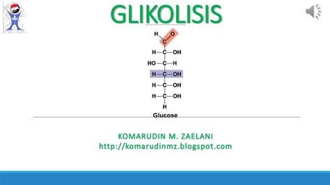 Glikolisis