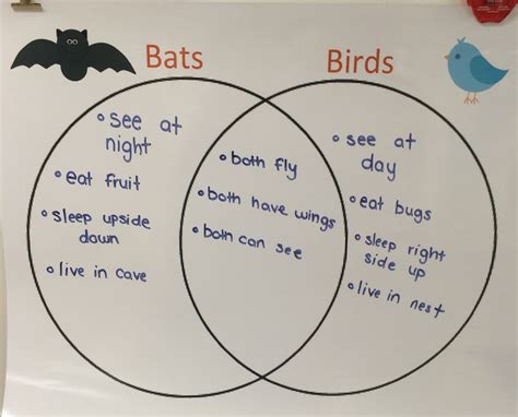 Comparison And Contrast Venn Diagram