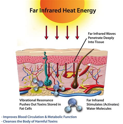 Infrared Sauna Therapy – Get Salty & Lit