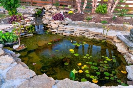 How To Build A Koi Pond In A Few Hours | Fra-Dor Tips